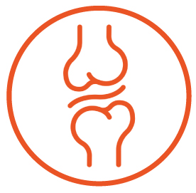 Pro-active Collagen for Joints